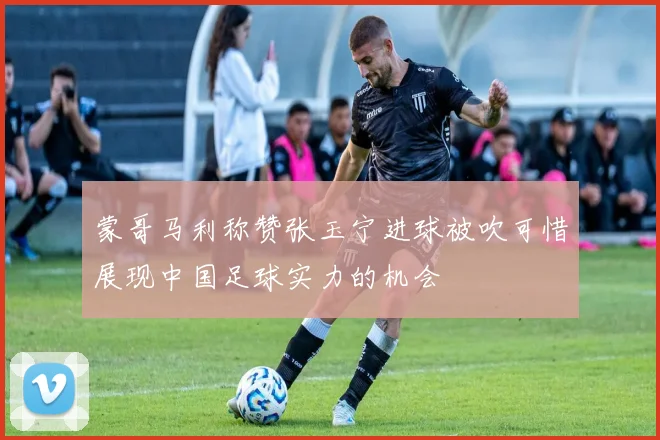 蒙哥马利称赞张玉宁进球被吹可惜展现中国足球实力的机会