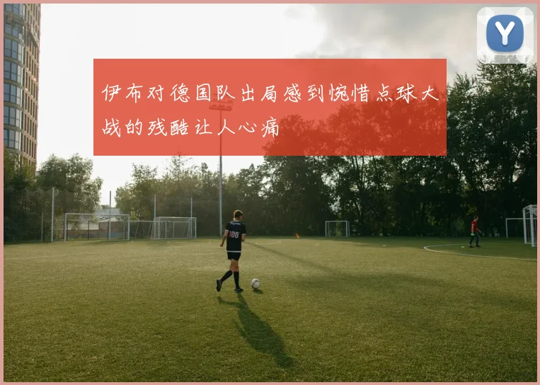 伊布对德国队出局感到惋惜点球大战的残酷让人心痛