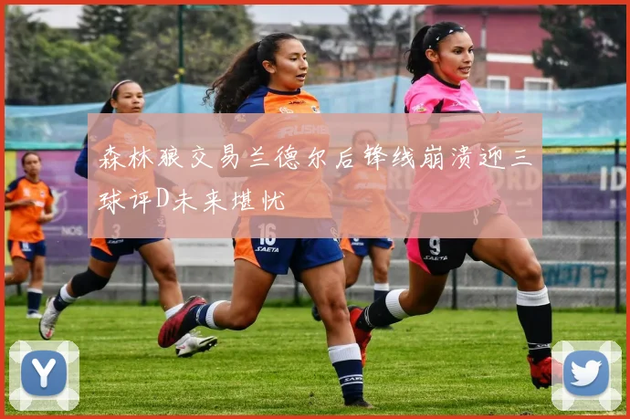 森林狼交易兰德尔后锋线崩溃迎三球评D未来堪忧